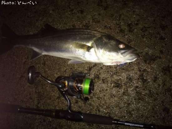 �����Х�