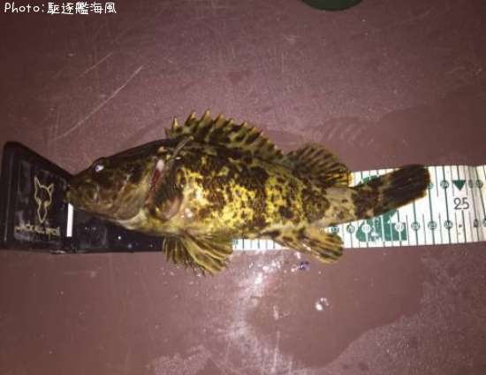 �����Υ�