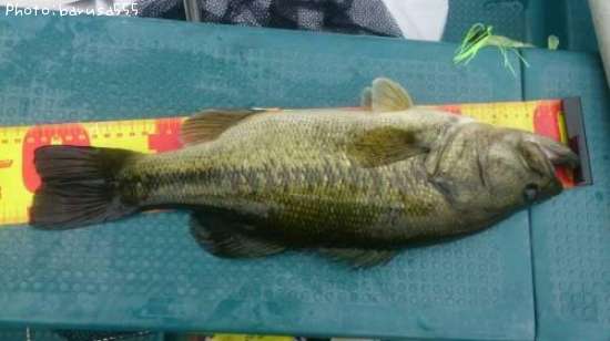 �֥�å��Х�