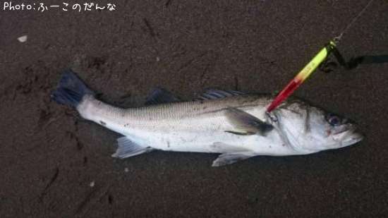 �����Х�