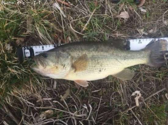 �֥�å��Х�