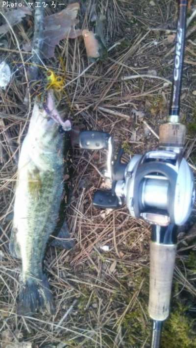 �֥�å��Х�