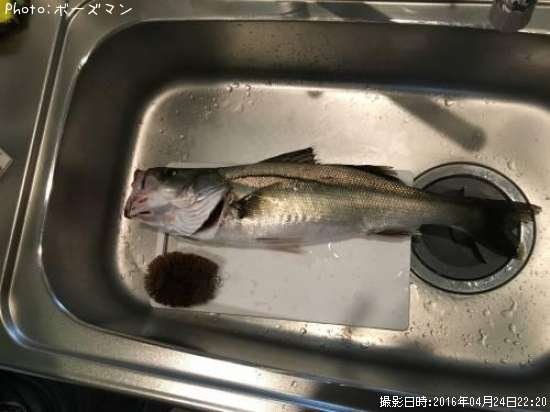 �����Х�