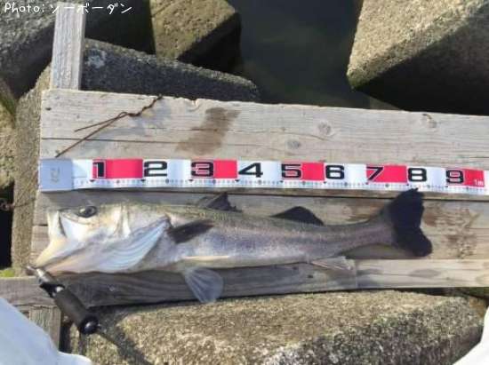 �����Х�