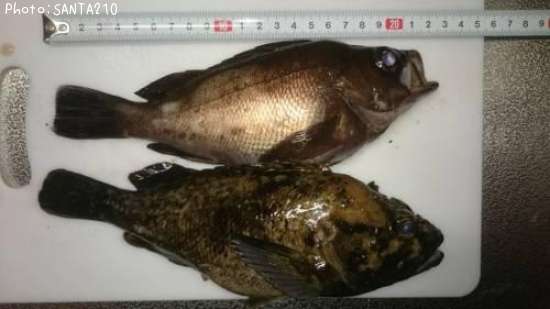 ��Х�������Υ���Х�