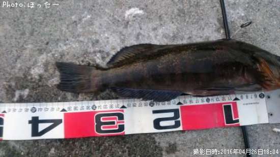 �����ʥ�