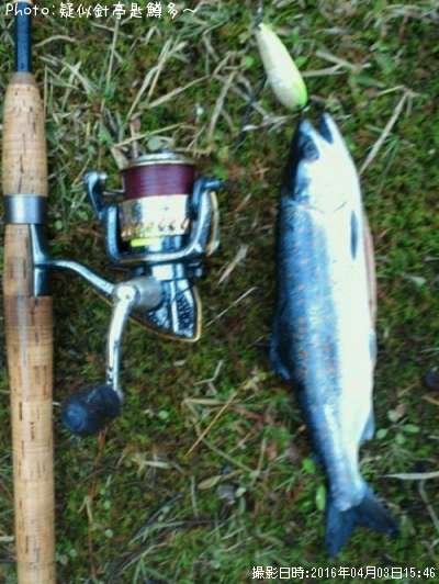 ���ĥ��ޥ�