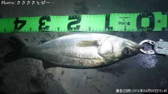 �����Х�����Х�