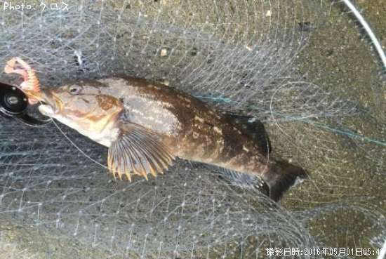 �����ʥ�