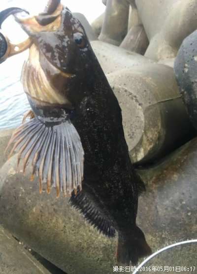 �����ʥ�