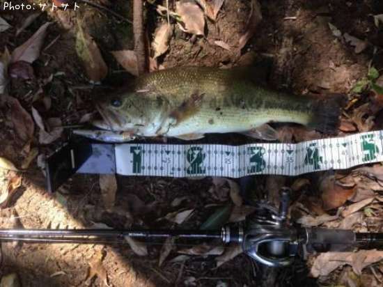 �֥�å��Х�