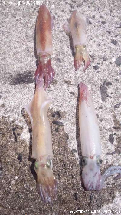 ���󥵥�����