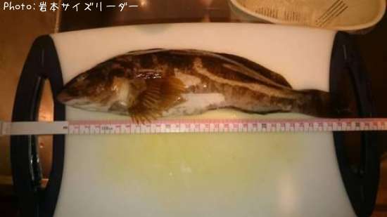 �����ʥ�