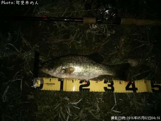 �֥�å��Х�