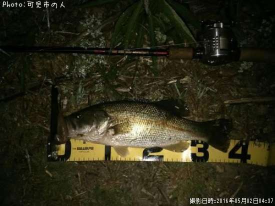 �֥�å��Х�