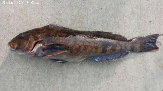 �����ʥ�