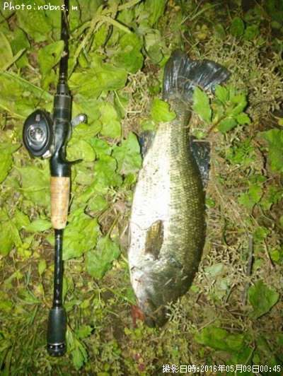 �֥�å��Х�