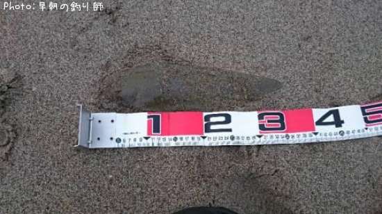 �����ӥ��