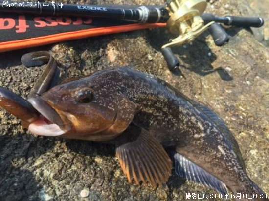 �����ʥ�