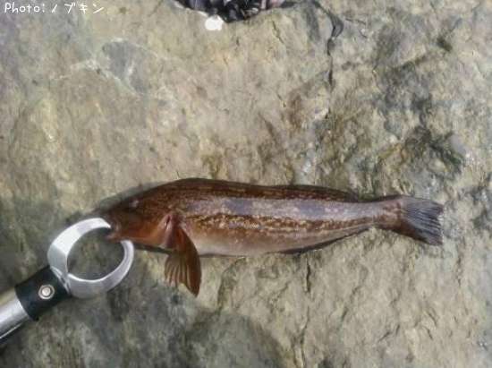 �����ʥ�