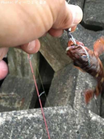 �����ϥ�