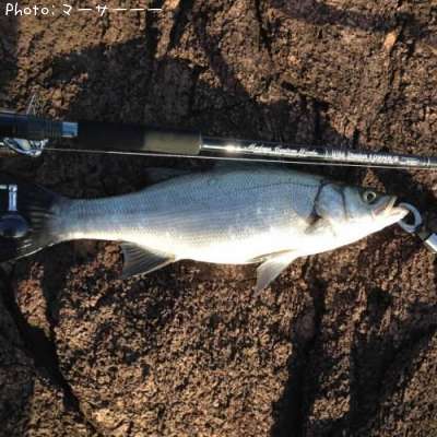 �ҥ饹����