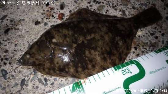 �ޥ����쥤