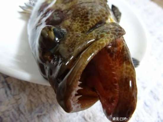 �����顼�ߡ��Х��ڥޥ���ϥ���