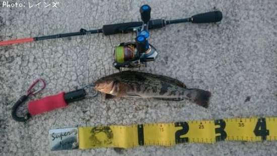 �����ʥ�