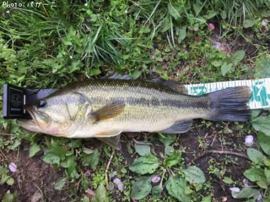 �֥�å��Х�