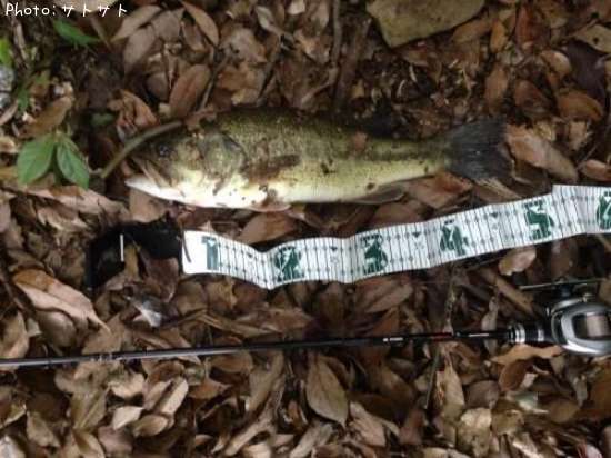 �֥�å��Х�