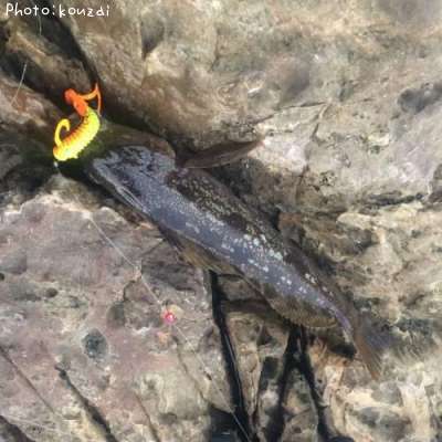 �����ʥ�