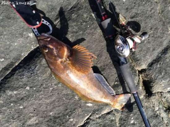 �����ʥ�