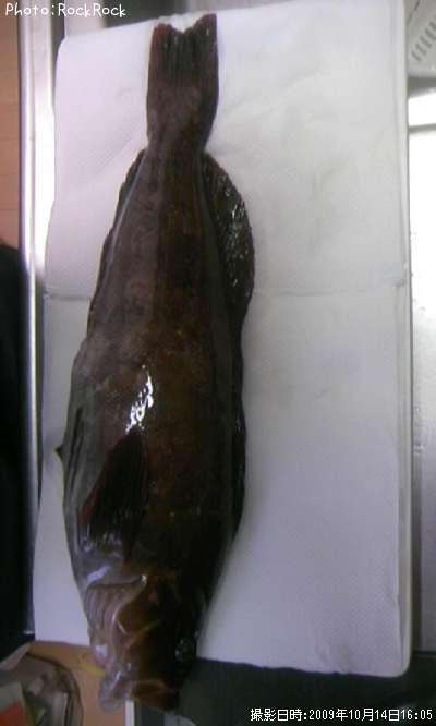 �����ʥ�