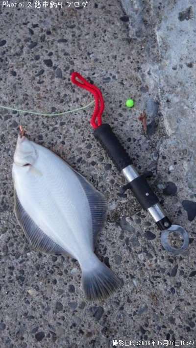 �ޥ����쥤