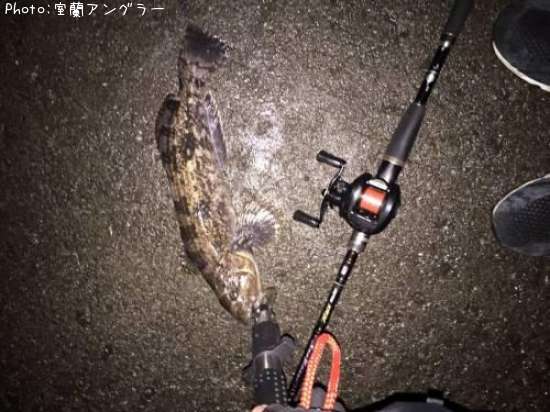 �����ʥ�