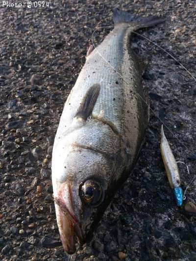 �����Х�