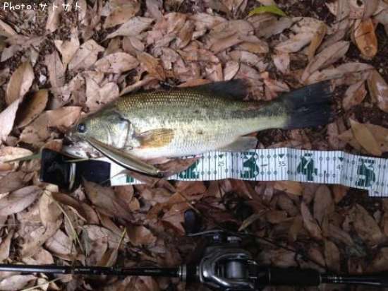 �֥�å��Х�