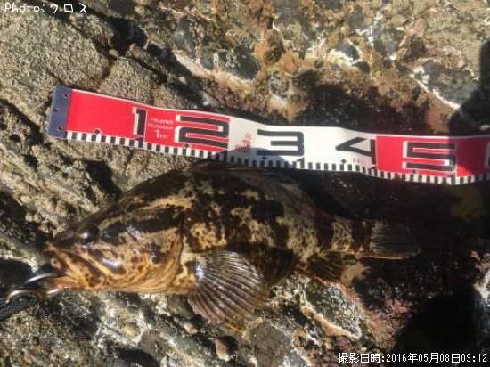 �٥å�������