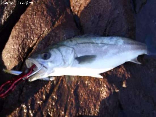 �����Х�