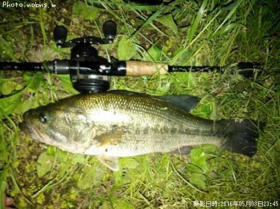 �֥�å��Х�