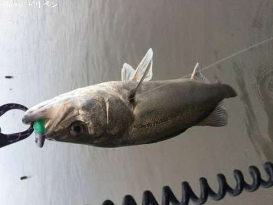 �����Х�