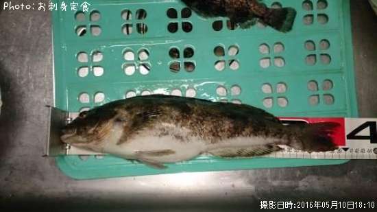 �����ʥ�