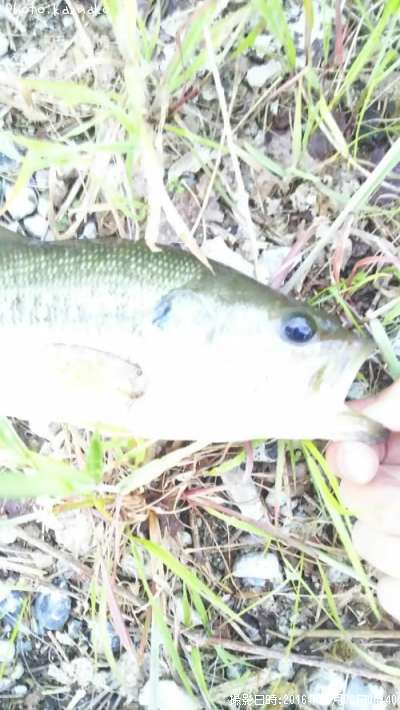 �֥�å��Х�