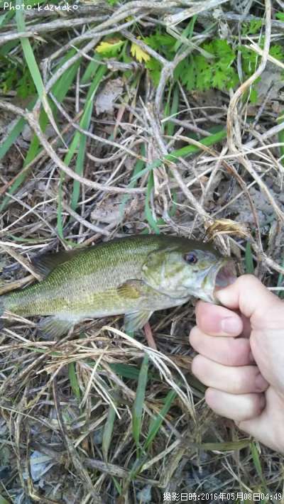 �֥�å��Х�