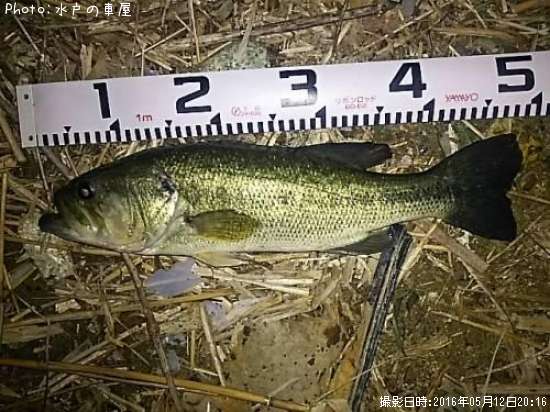 �֥�å��Х�