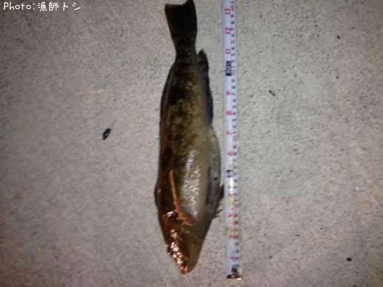 �����ʥ�