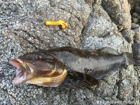 �����ʥ�