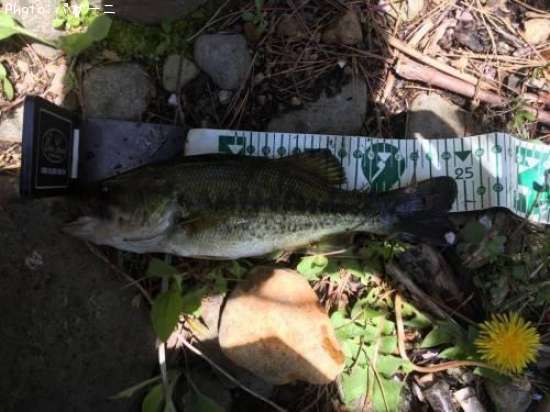 �֥�å��Х�