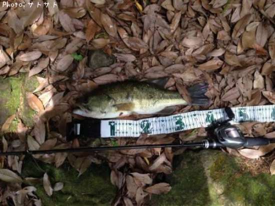 �֥�å��Х�